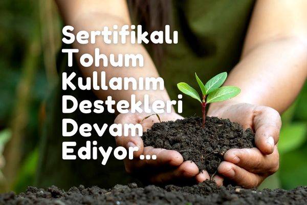 Fao'dan Büyük Destek